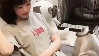 What a cute dog. Do you like it?