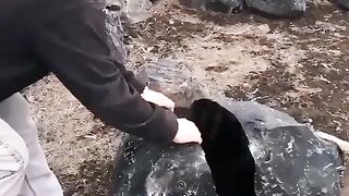 An enormous obsidian stone split in half