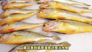 Is croaker a marine fish or a freshwater fish?