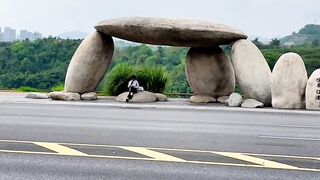 Chongqing is truly an 8d magical city, and the original bus stops are so creative. Do you like such bus stops?