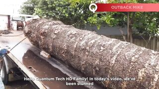 Man Turns Massive Log into Amazing CANOE