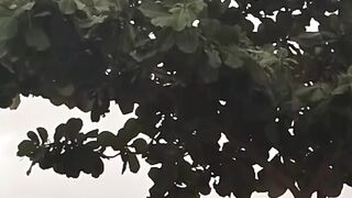 طوفانی بارشوں کا سلسلہ شروع