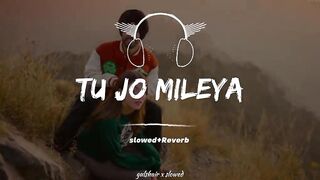 Songs love ❣️