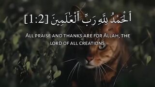 Quran # #quran #trending #viral #shahzor #shorts #fespot # iNFO