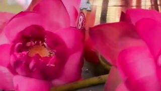 The World Everything Amazing | Episode 290 | 2024 |