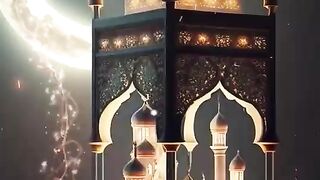 Nice Video
