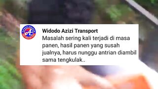 Masalah datang saat masa panen lele, susah jualnya, dan antri nunggu diambil tengkulak