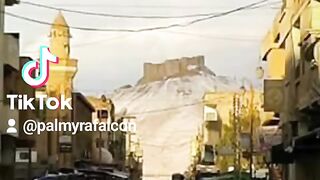 لقطات مدينة تدمر