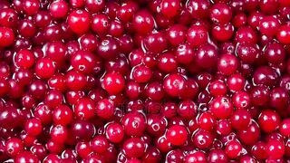 cherry