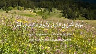 تلاوات خاشعة