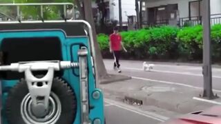 Funny video part 6