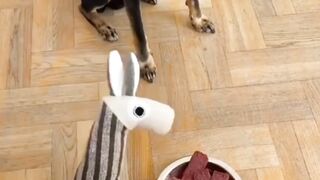 Funny video part 8