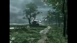 Real nature vedio