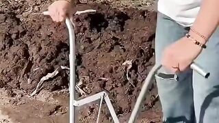 अमेरिका में गोबर के उपले कैसे बनाते हैं