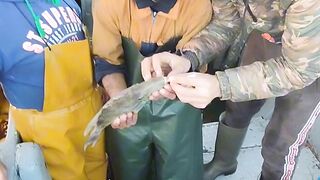 smoking fish السمك المدخن