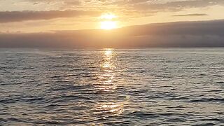 رحلات بحرية fishing trip