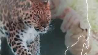 Amazing video