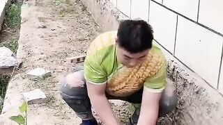 funny video