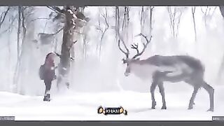 Humanity