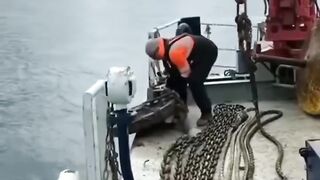 أخطر المهن في العالم