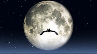 Moon????????
