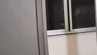 #shorts #funny #cat #dog #animals (35)