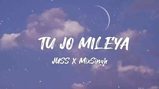 To jo milya song