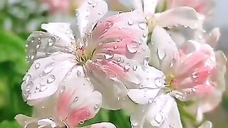 الواقعه¹????