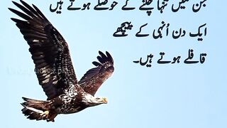 Urdu beautiful quotes