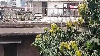 The environment of residence and home porch, Wonderful lost,