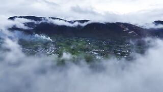 In winter ,nothing beats the snow white crisp  and sweet radishes