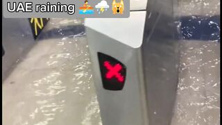 Hello boss funny