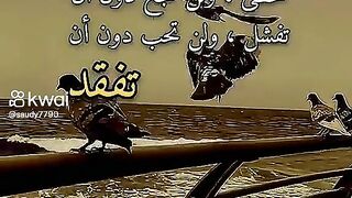 حكمه