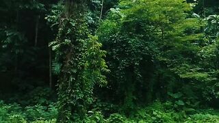 Natural Art in Wisdom Local Loang Gali