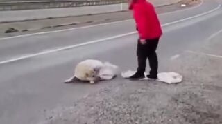 Humanity is the greatest wealth, we should love animals