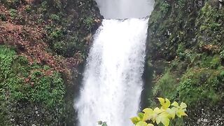 NATURE 01