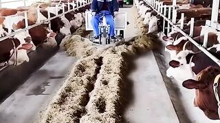 A sneak peek into the machine world ????