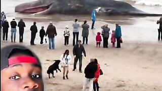 These People Are Making a BIG Mistake