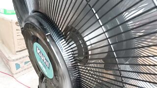 Cooler Fan