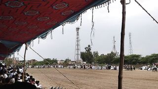 Neza bazi mela dharema sargodha