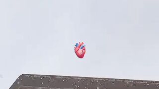 The heart and the rain