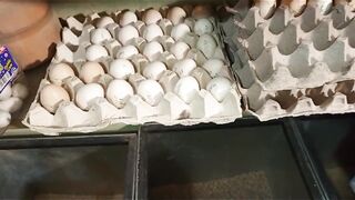 Two trays of eggs
