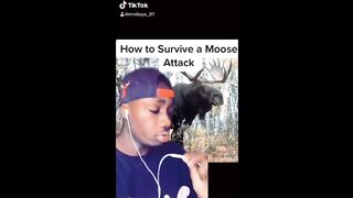 How to Survive Any Animal Attack