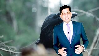 A Crow inspirational Story by Asad Mehmo