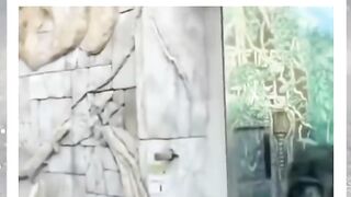 شوفلي هل قردكيف ضحك عليهن