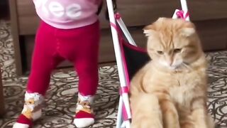 Funny Video cute Babies