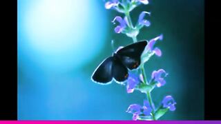 احلى صور خلفيات للموبايلhttps://www.febspot.com/1c6d09cf488e72719a06acaaa7021d86/