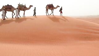 Test6