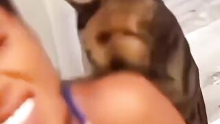 Funny animals compilation video.