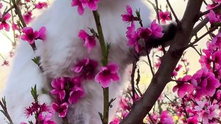 Amazing Nature